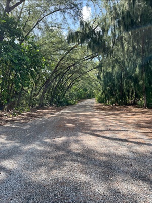 Photo of the Virginia Key Basin Trail and Marine Stadium