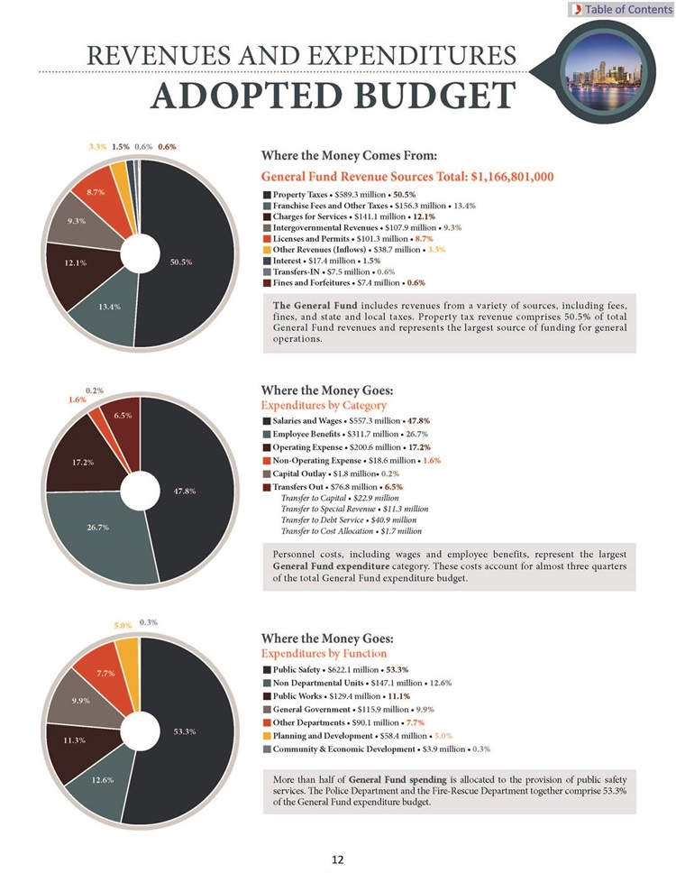 Adopted-Budget-Budget-In-Brief-snapshot.jpg