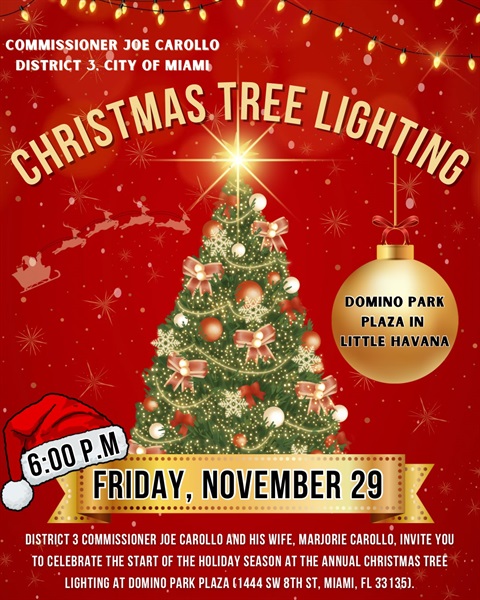 Christmas Tree Lighting - November 29.jpg